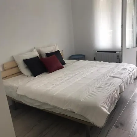 公寓 Amara Pio Xii Parking 20e Night Wifi Terrace 圣塞瓦斯蒂安